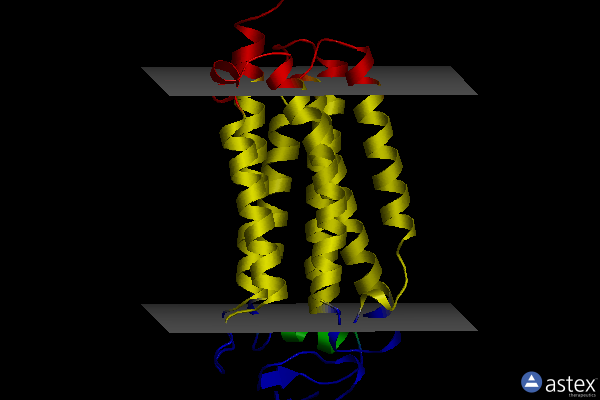 Membrane view of 6ks0
