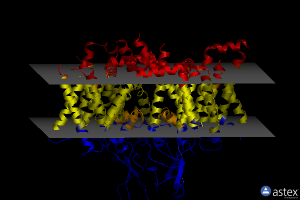 Membrane view of 6kzp