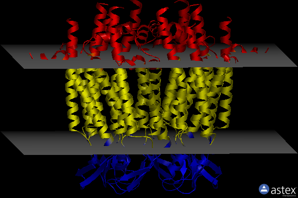 Membrane view of 6l3u