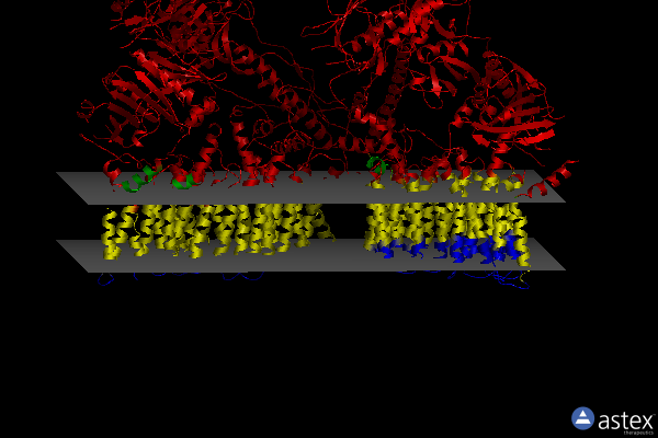 Membrane view of 6lar