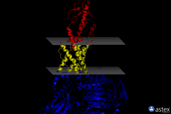 Membrane view of 6lml