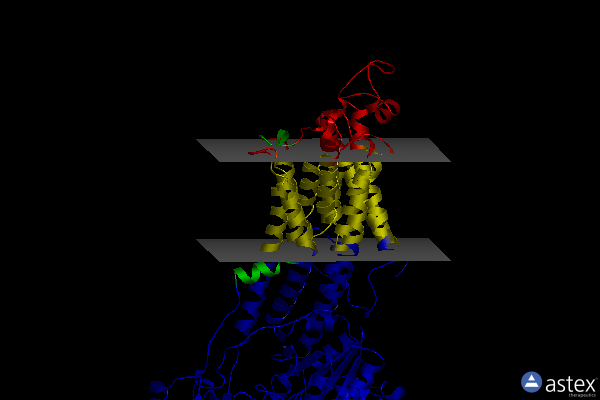 Membrane view of 6ln5