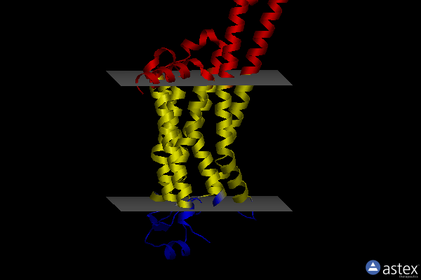 Membrane view of 6lpj