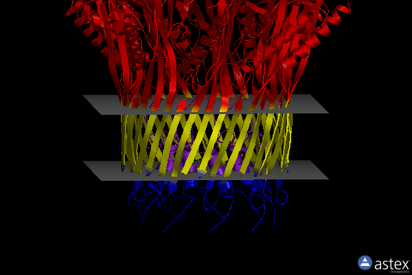 Membrane view of 6lqh