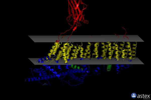 Membrane view of 6lqi