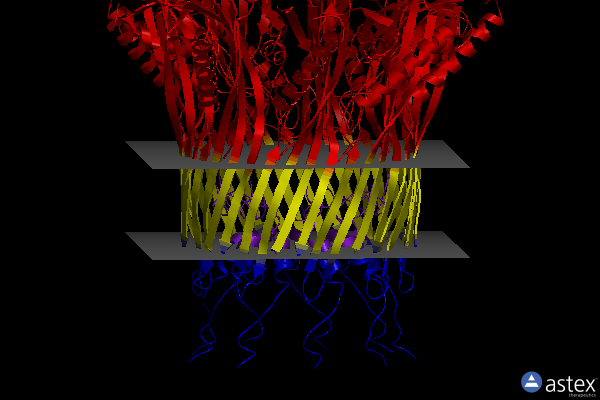 Membrane view of 6lqj