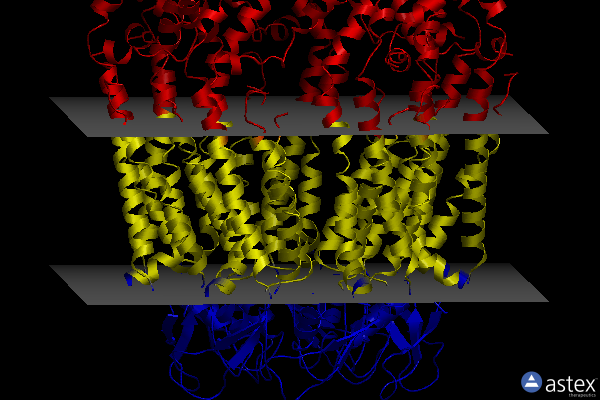 Membrane view of 6ltn