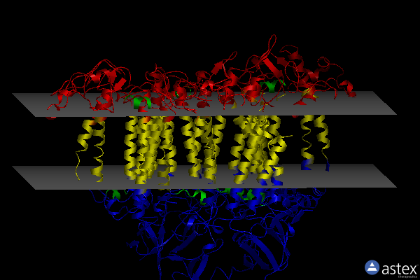 Membrane view of 6lu1