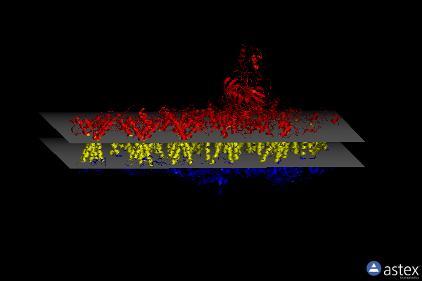 6ly5