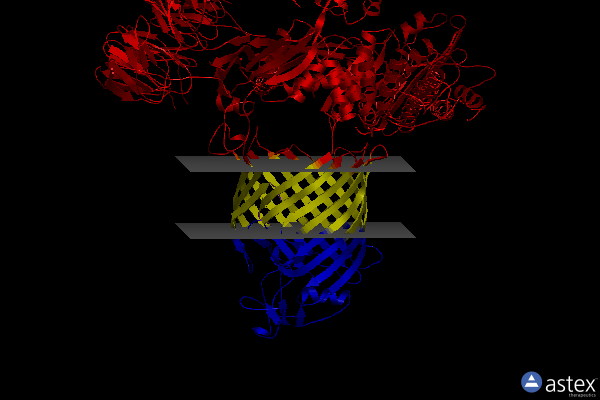 Membrane view of 6lys