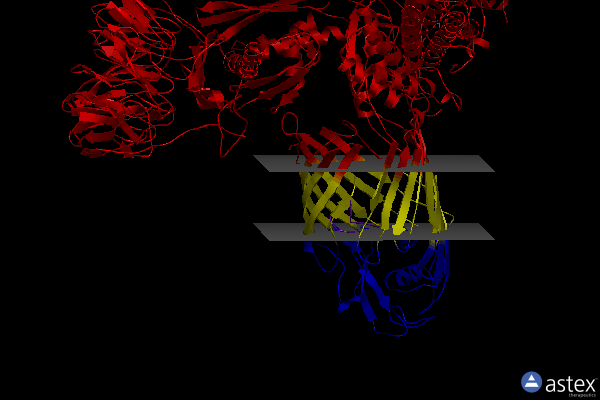 Membrane view of 6lyu