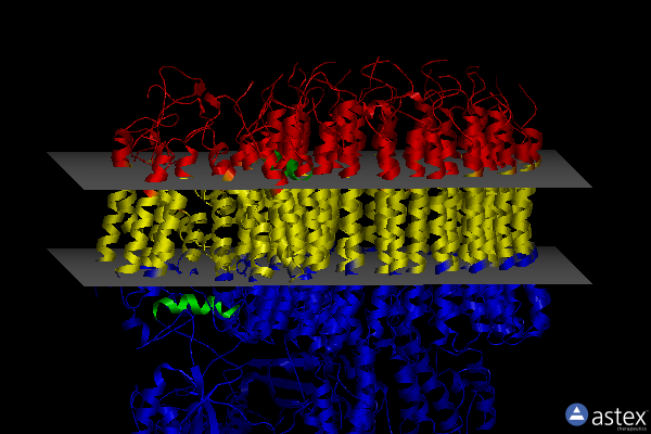 Membrane view of 6m0s
