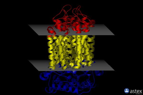 Membrane view of 6m20