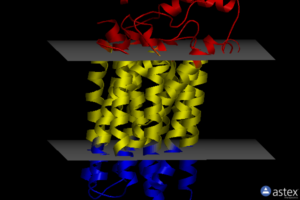 Membrane view of 6m2l