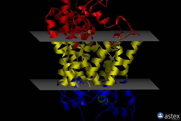 Membrane view of 6m38