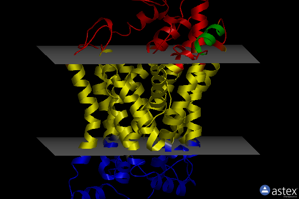 Membrane view of 6m3z