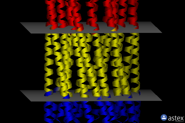 Membrane view of 6m6z