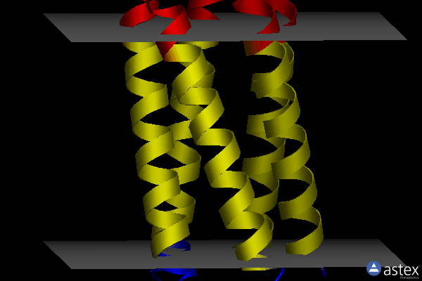 Membrane view of 6mct