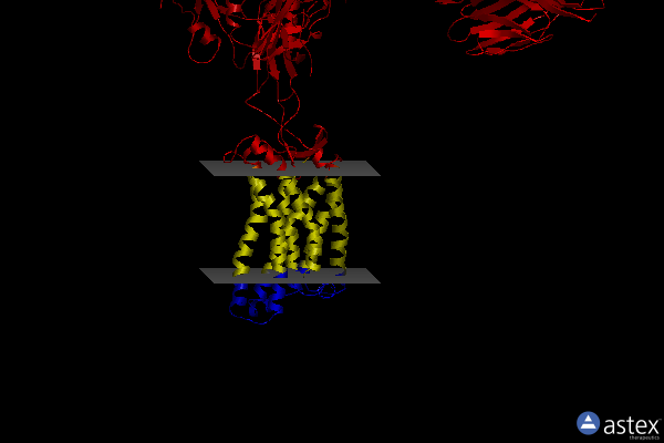 Membrane view of 6met