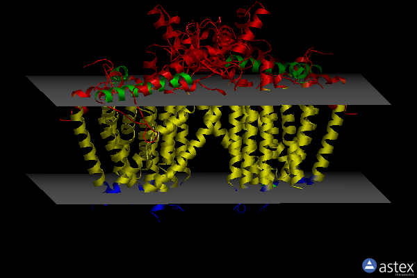 Membrane view of 6mgv