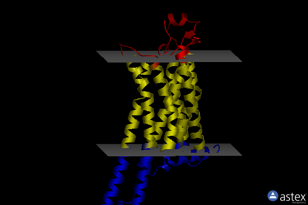 Membrane view of 6mh8