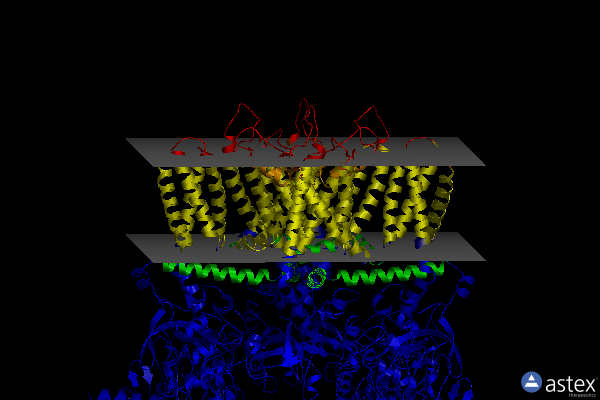 Membrane view of 6mhw
