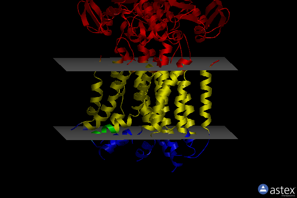Membrane view of 6mi8