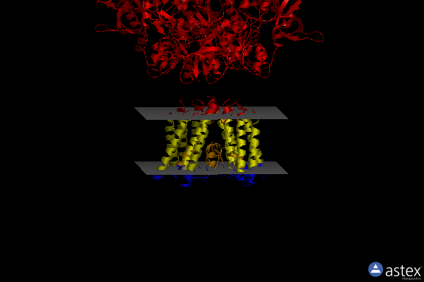 Membrane view of 6mmb