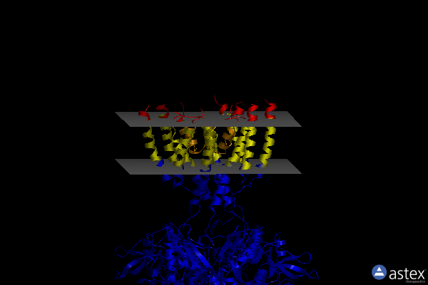 Membrane view of 6mmn