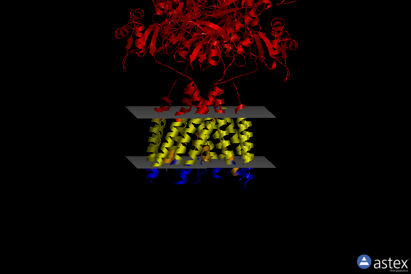 Membrane view of 6mmp