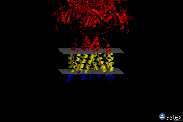 Membrane view of 6mms
