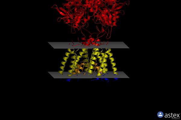 Membrane view of 6mmt