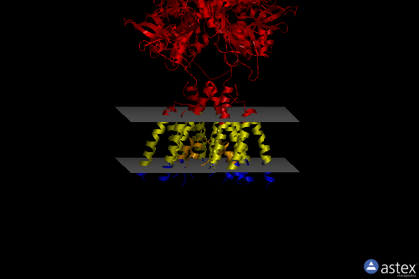 Membrane view of 6mmw