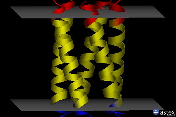 Membrane view of 6mpw
