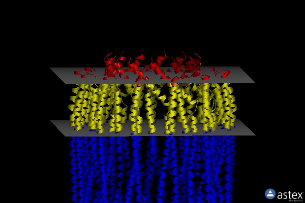 Membrane view of 6mru