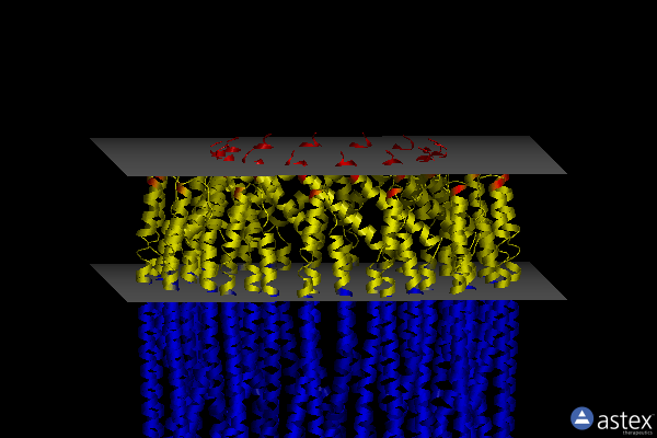 Membrane view of 6mrw