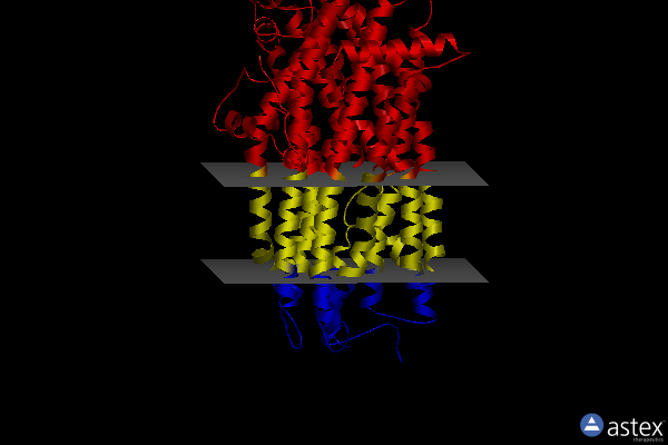 Membrane view of 6msm