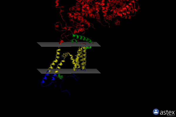 Membrane view of 6mu1
