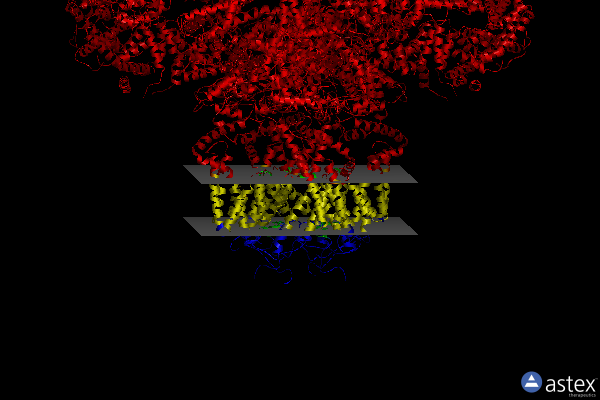 Membrane view of 6mu2