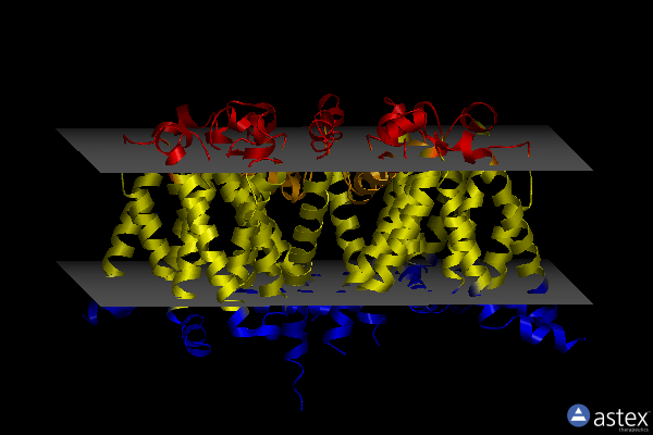 Membrane view of 6mvv