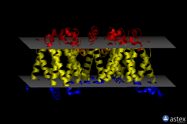 Membrane view of 6mvw