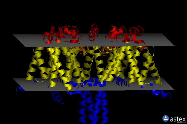 Membrane view of 6mwg
