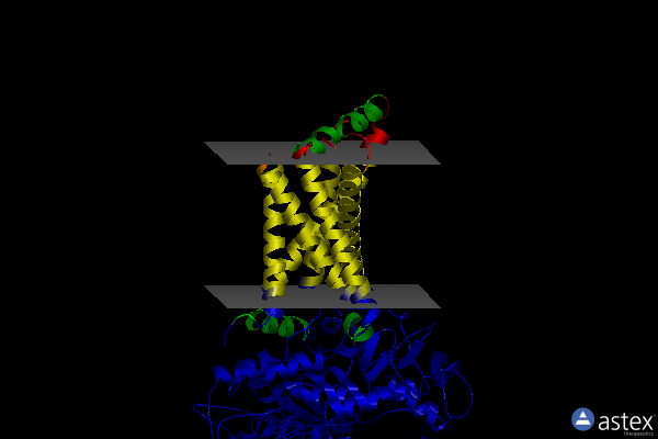 Membrane view of 6myo