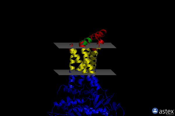 Membrane view of 6myr