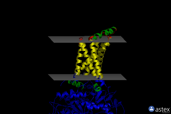 Membrane view of 6mys