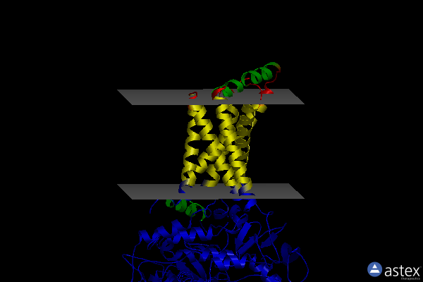Membrane view of 6myt