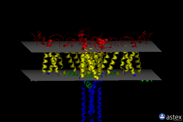 Membrane view of 6n4q