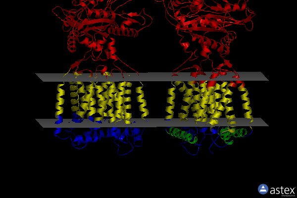 Membrane view of 6n7g