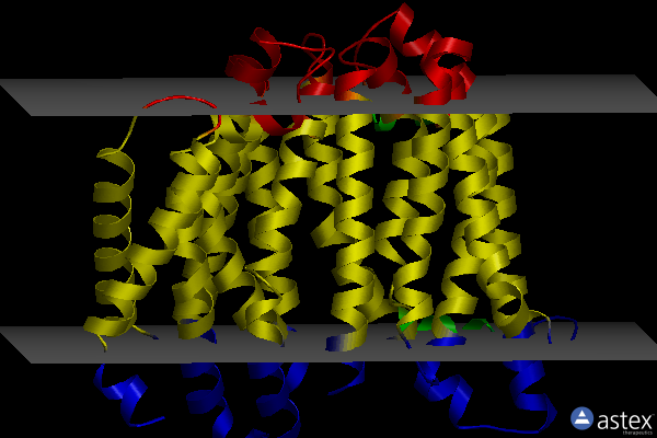 Membrane view of 6nc6