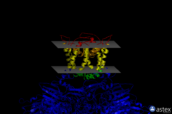 Membrane view of 6nd0